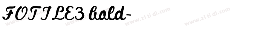 FOTILE3 bold字体转换
